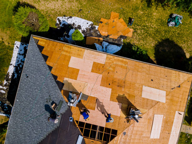 Best Storm Damage Roof Repair  in Fort Pierce North, FL